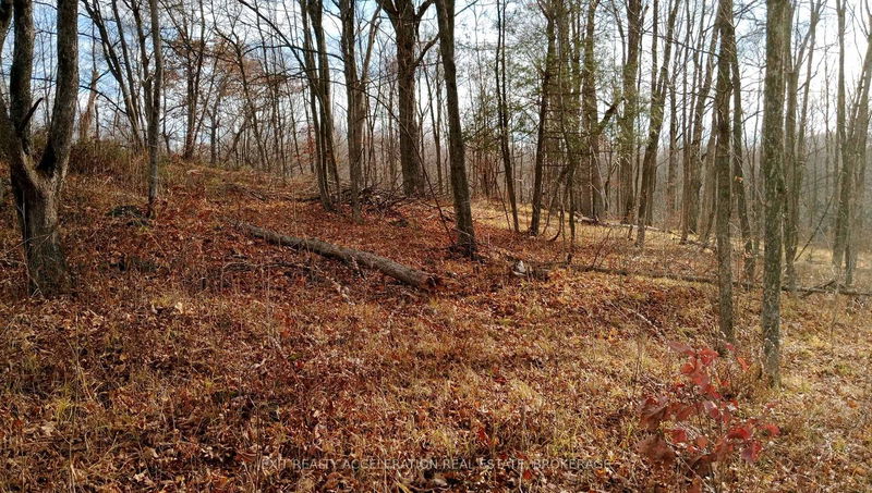 00 Tryon Rd, Sharbot Lake - Frontenac Centre image-0-0