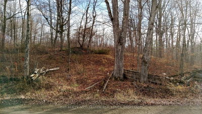 00 Tryon Rd, Sharbot Lake - Frontenac Centre image-0-1