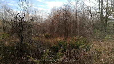  Tryon Rd, Sharbot Lake - Frontenac Centre image-0-1