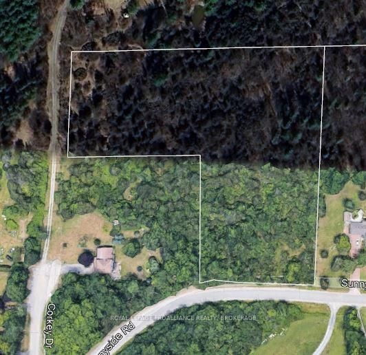 1685 Sunnyside Rd, Kingston - City North of 401 image-0-0