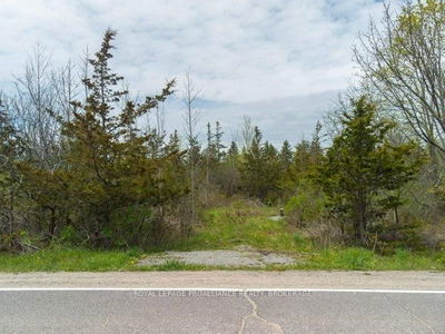 1685 Sunnyside Rd, Kingston - City North of 401 image-0-1