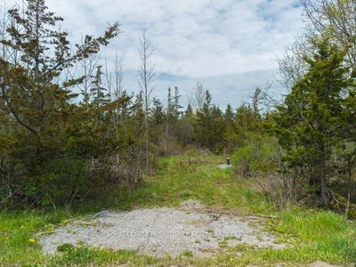 1685 Sunnyside Rd, Kingston - City North of 401 image-0-2