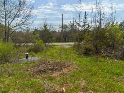 1685 Sunnyside Rd, Kingston - City North of 401 image-0-3