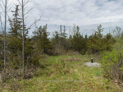 1685 Sunnyside Rd, Kingston - City North of 401 image-0-4