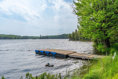 1147 Comfort Dr, Highlands East - Glamorgan image-0-2