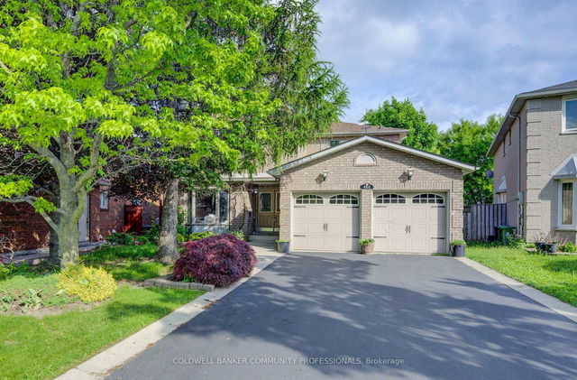 466 Dicenzo Drive