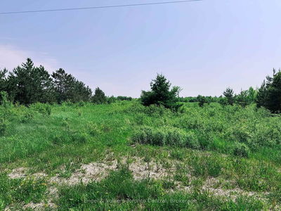 121 Robertson Ave, Meaford - Meaford image-0-3