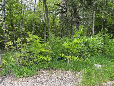 104264 Grey Road 18, Meaford - Meaford image-0-2