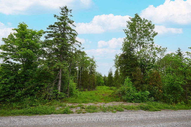 622 Kings Creek Road