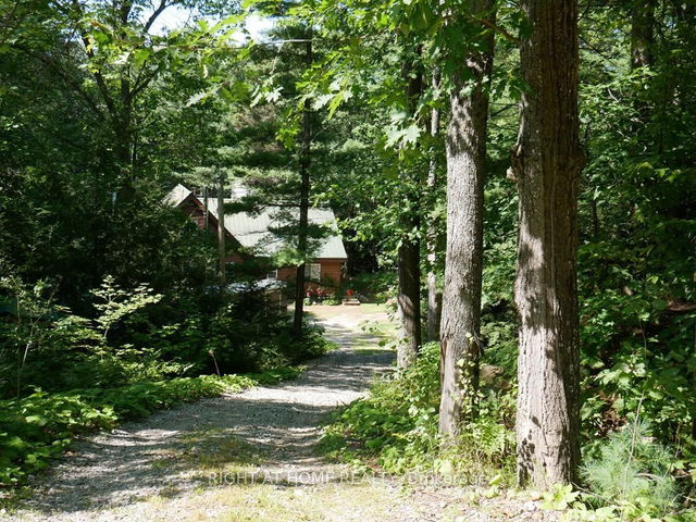 1130 Towering Oaks Trail