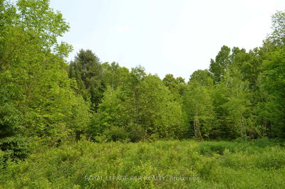 1527 Madill Rd, Highlands East - Monmouth