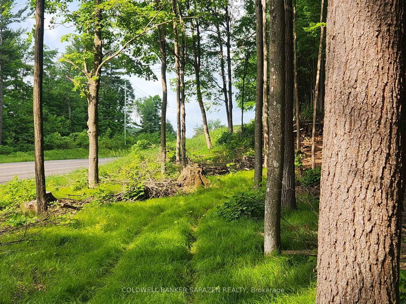 1680 CALABOGIE Road