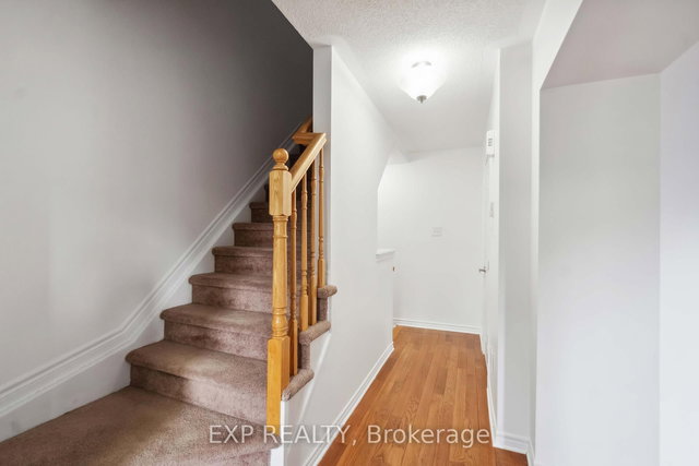 2307 Blue Aster Street