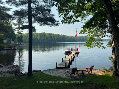 1131 BUCKSLIDE Rd, Algonquin Highlands - Stanhope image-0-2