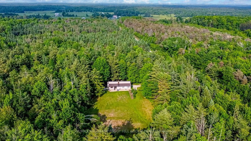 7390 Sadowa Rd, Kawartha Lakes, Ontario