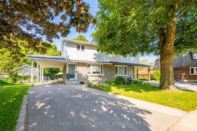 19 Beechwood Road