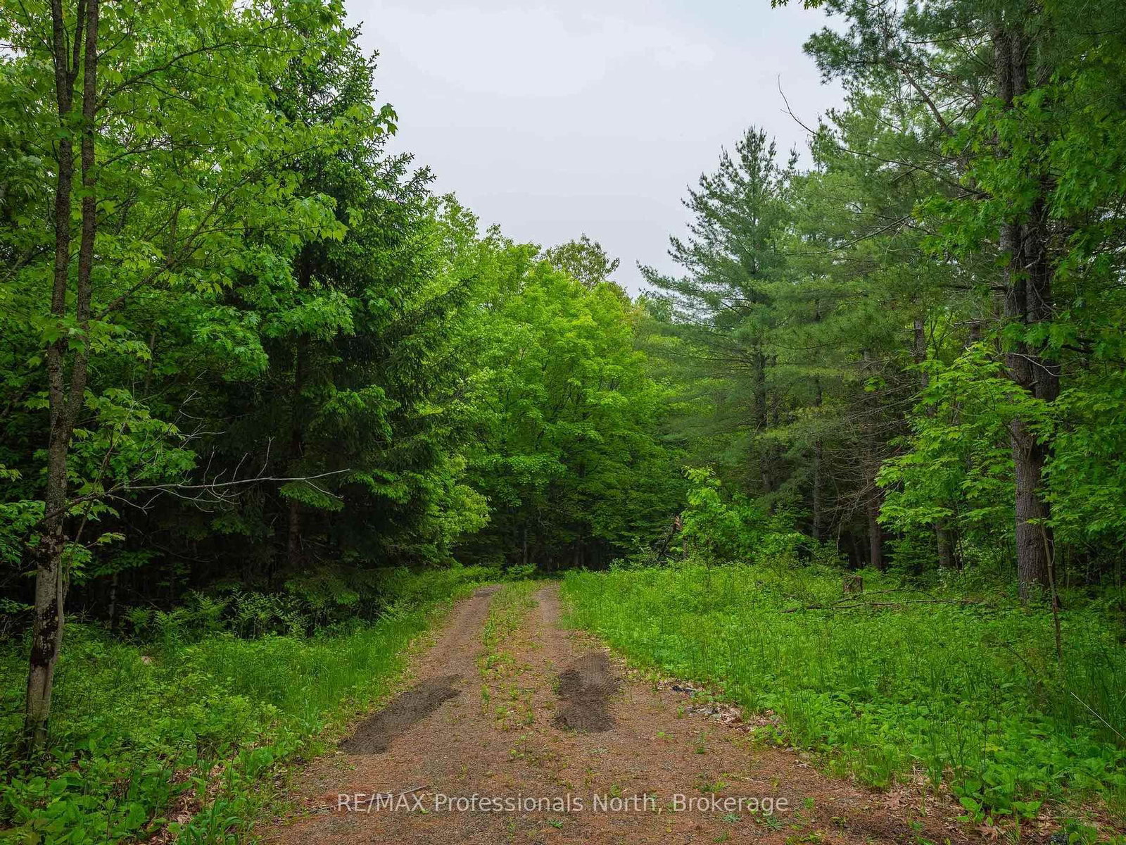 Listing Image 38