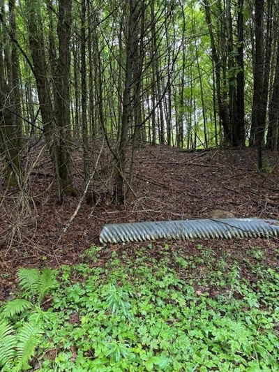 Lot 70 25th Line, Algonquin Highlands - Stanhope image-0-2