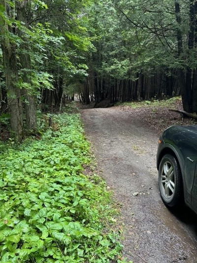 Lot 70 25th Line, Algonquin Highlands - Stanhope image-0-3