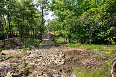  Burnt Hills Rd, Battersea - Frontenac South image-0-3