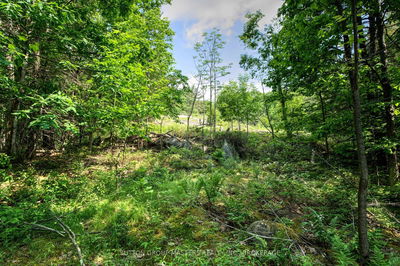  Burnt Hills Rd, Battersea - Frontenac South image-0-4