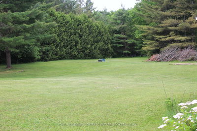 1044 County 40 Rd, Douro-Dummer - Douro-Dummer image-0-1