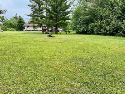 1044 County 40 Rd, Douro-Dummer - Douro-Dummer image-0-3