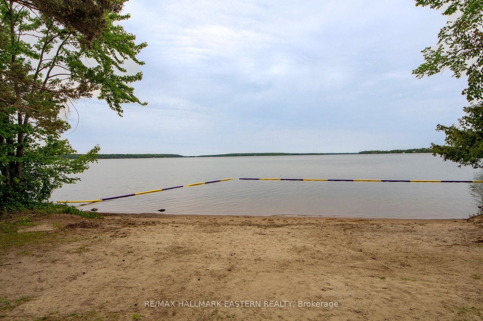 Listing Image 37