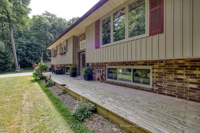 50 Rokeby Sdrd, Norfolk - Norfolk image-0-3