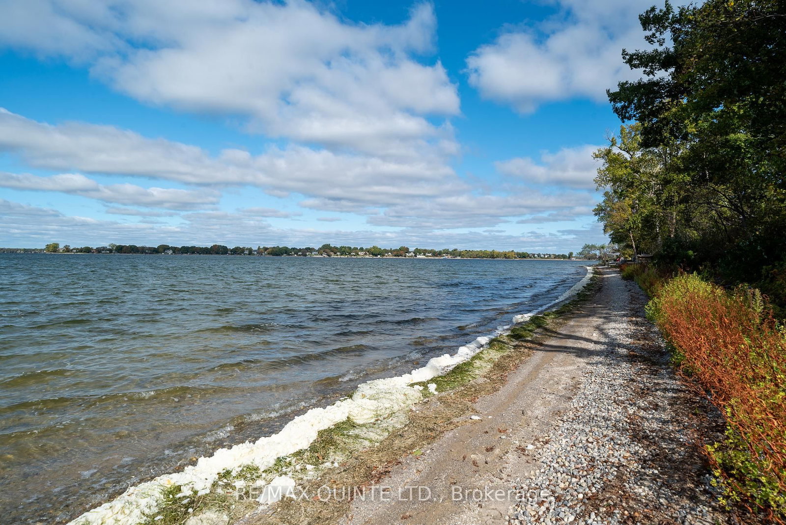 1866-1874 County Rd 12 Road • Prince Edward County, ON photo 36