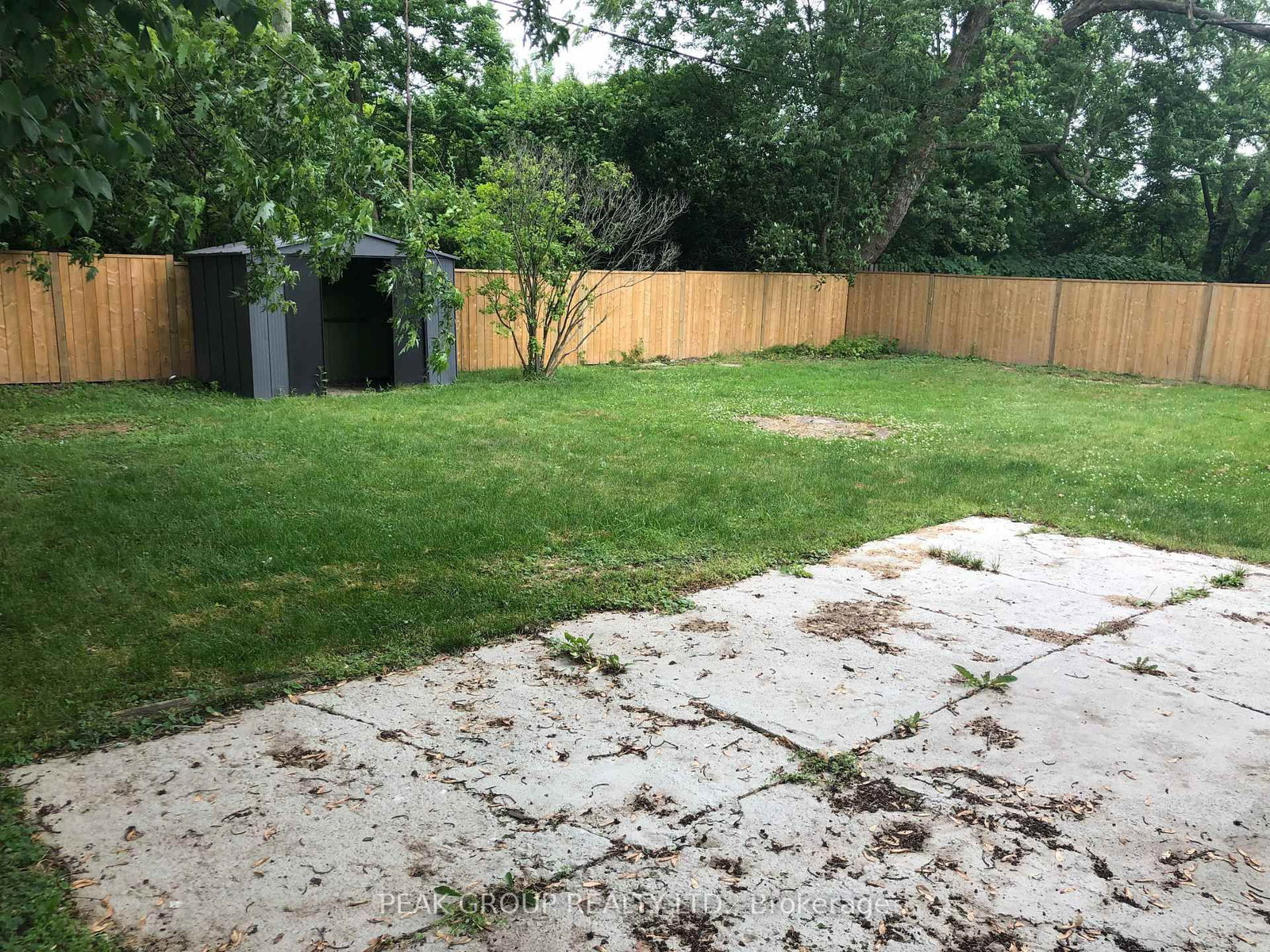 Listing Image 7
