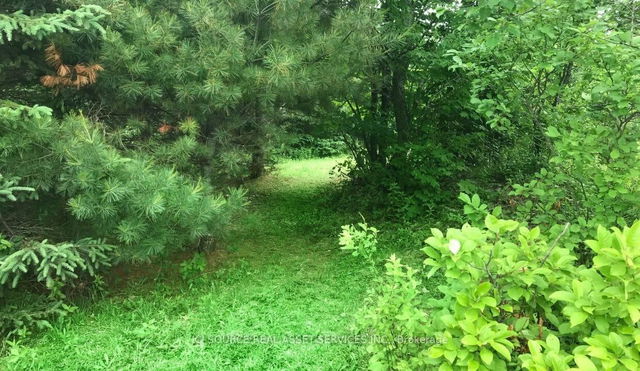 00 Rye Road