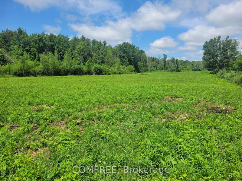 000 Willy Allan Rd, South Stormont - South Stormont (Cornwall) Twp image-0-0