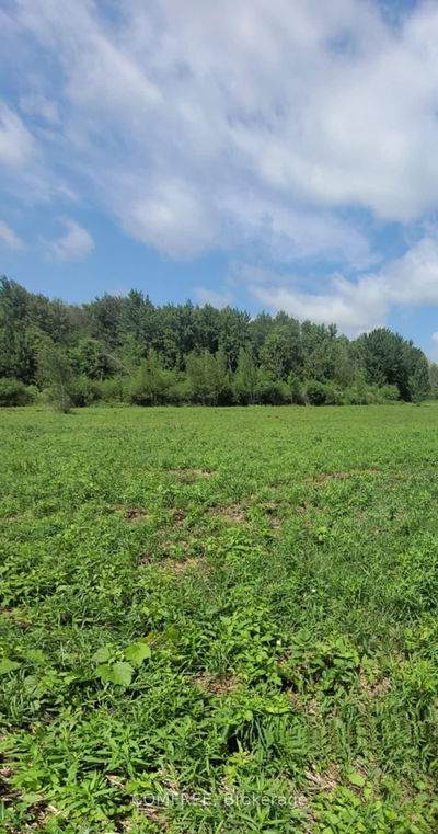 000 Willy Allan Rd, South Stormont - South Stormont (Cornwall) Twp image-0-1