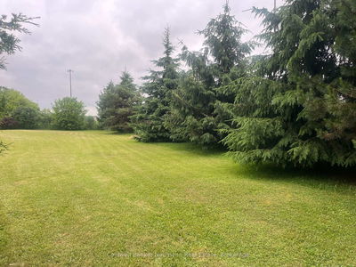 9 Eden St, Guelph - Junction/Onward Willow image-0-1
