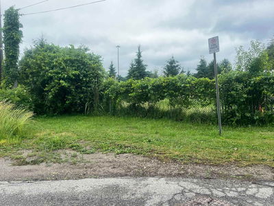9 Eden St, Guelph - Junction/Onward Willow image-0-2