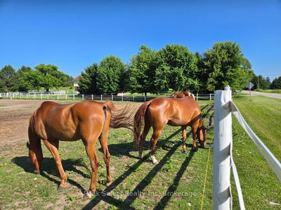 20076 Cherry hill Rd, Thames Centre - Rural Thames Centre