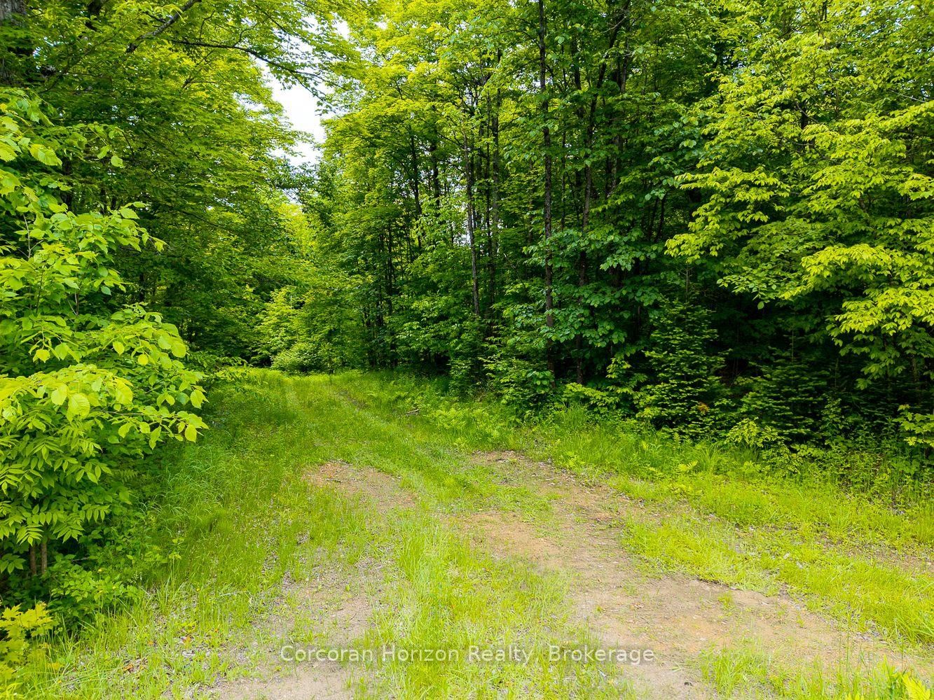 Listing Image 28