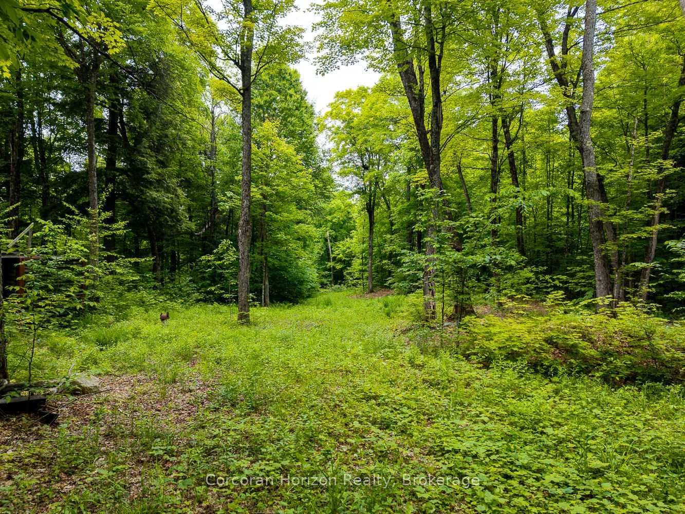 Listing Image 41