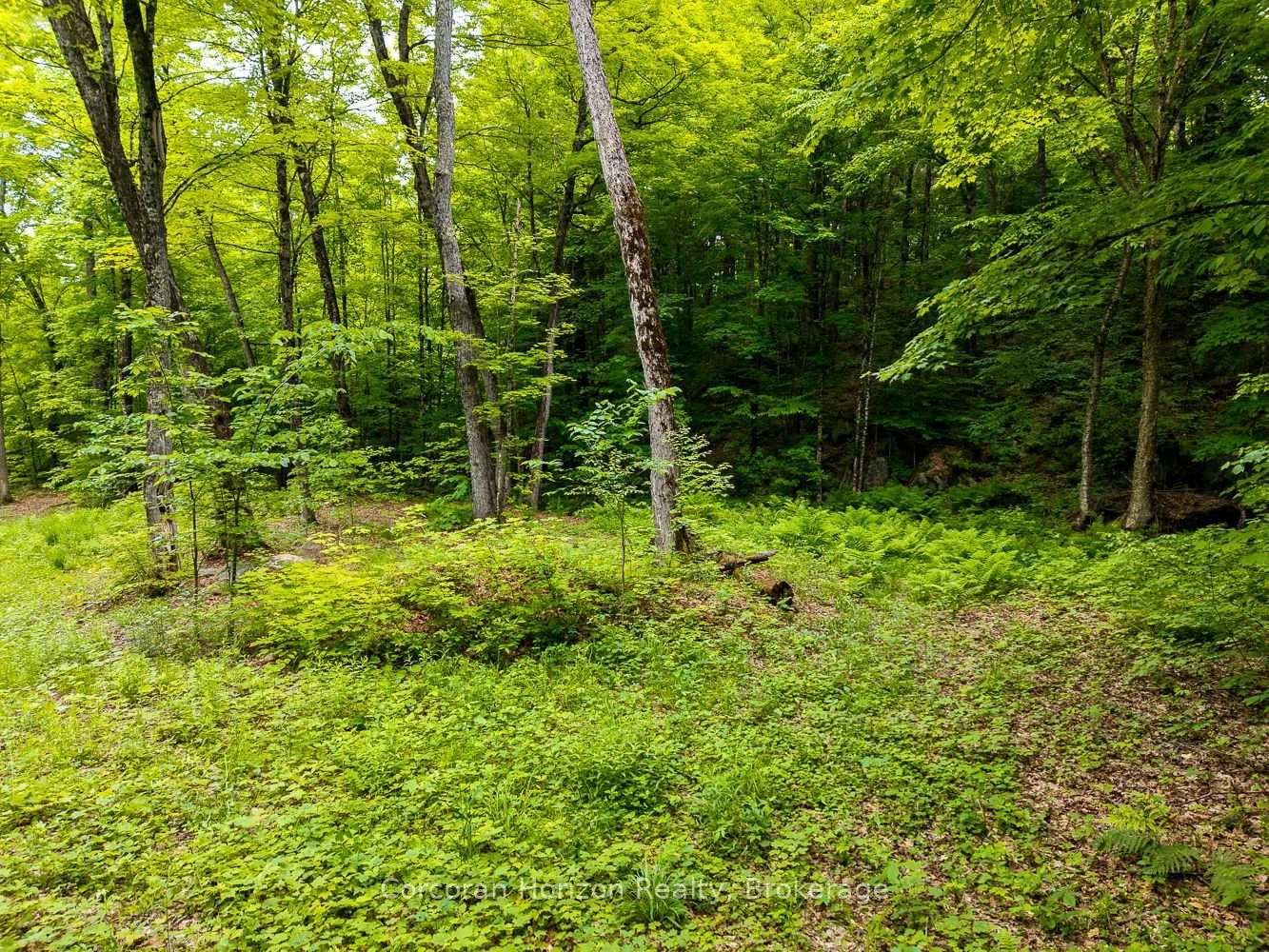 Listing Image 42