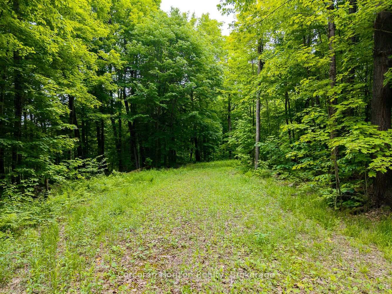 Listing Image 45