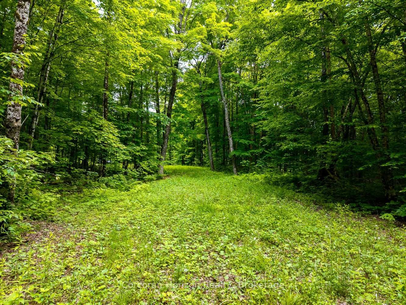 Listing Image 46