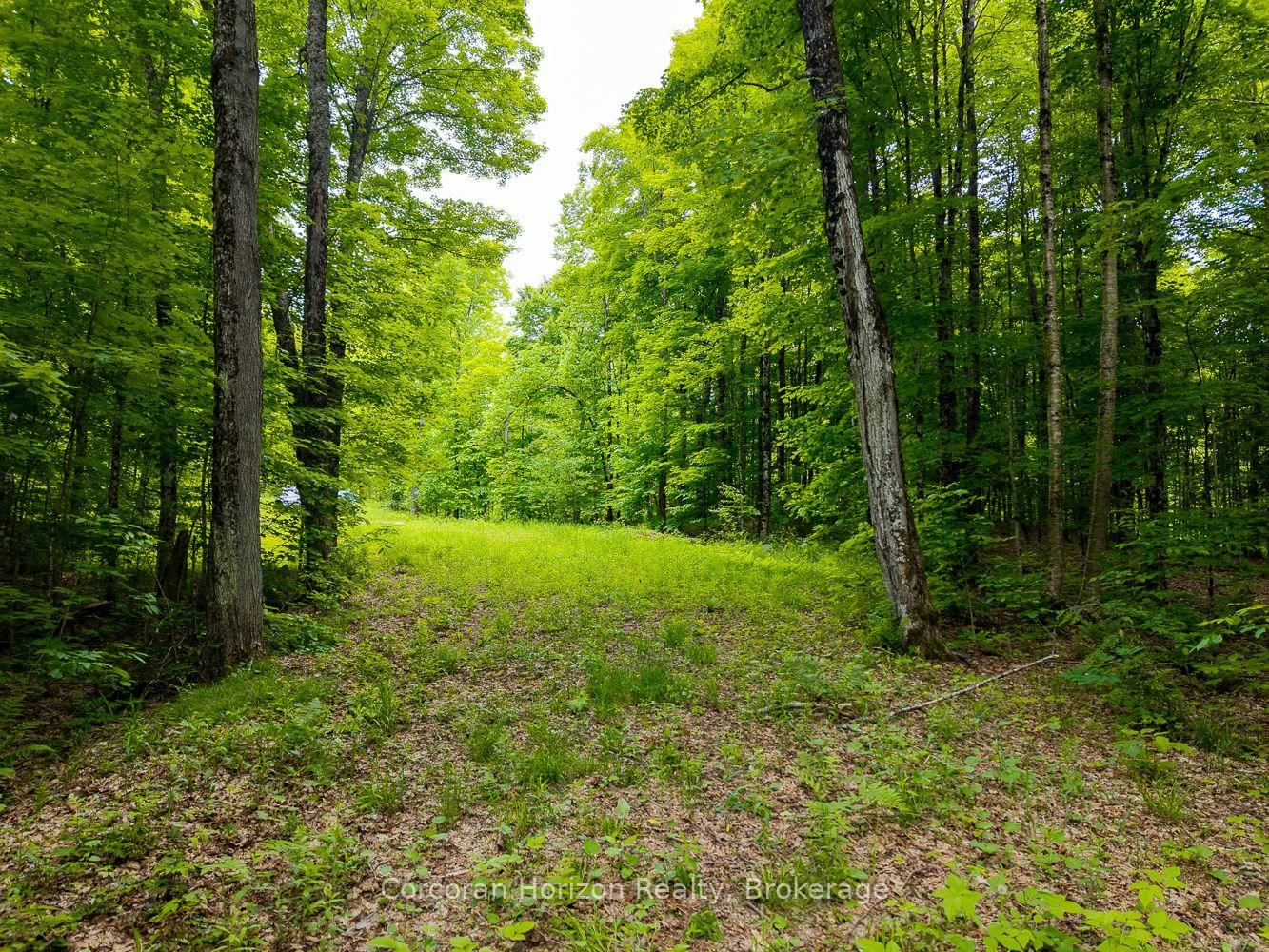 Listing Image 47