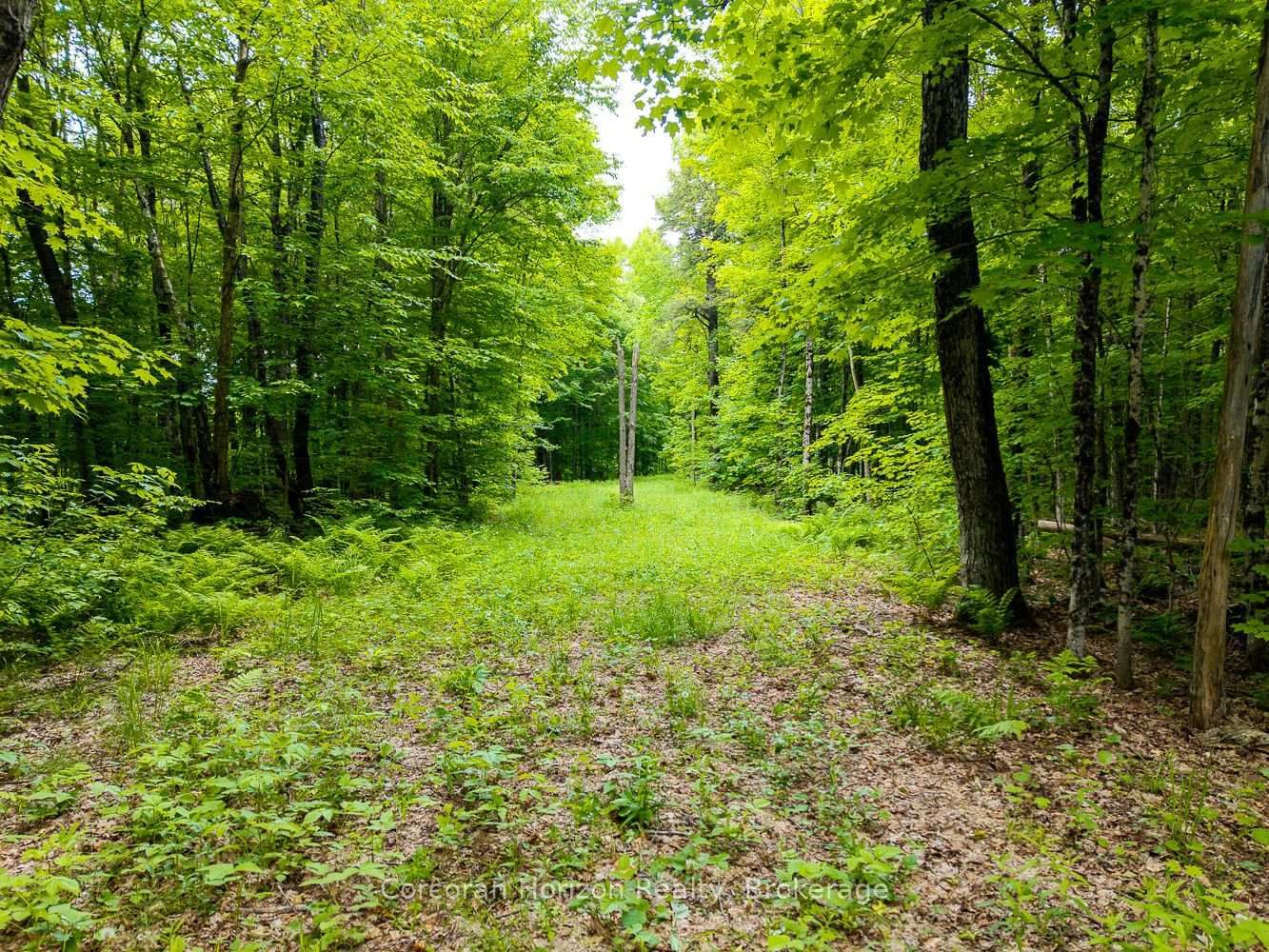 Listing Image 48