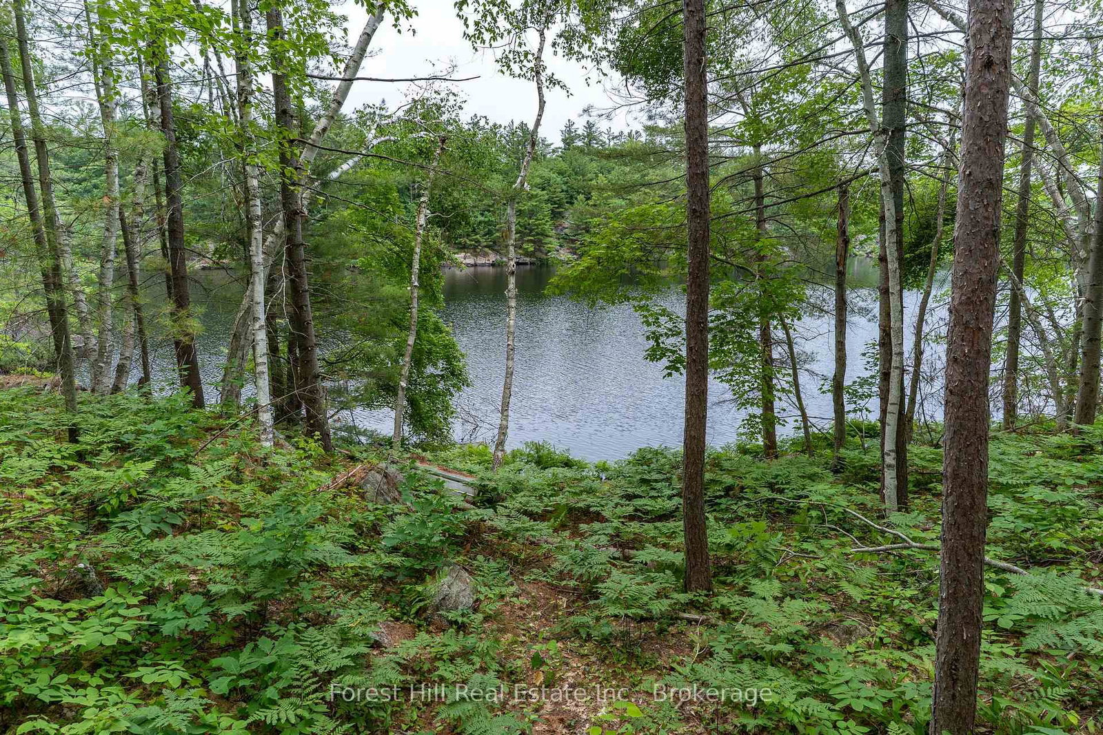 Listing Image 31