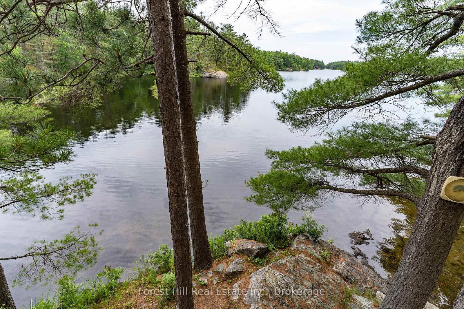 Listing Image 35