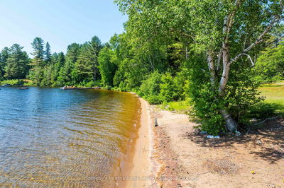 2447 South Portage Rd, Lake of Bays - Franklin image-0-4