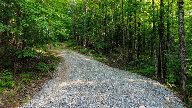 00 Rose Island Road