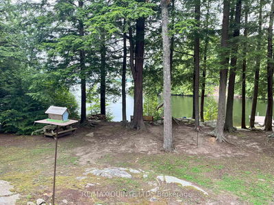 1549 Gull Lake Lane Lane, Arden -  image-0-2