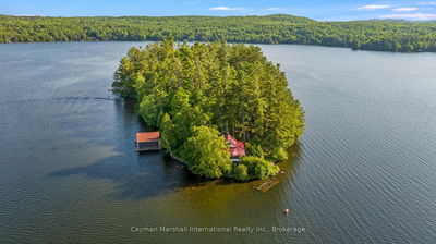 6 Hills Island, Lake of Bays - Franklin image-0-2